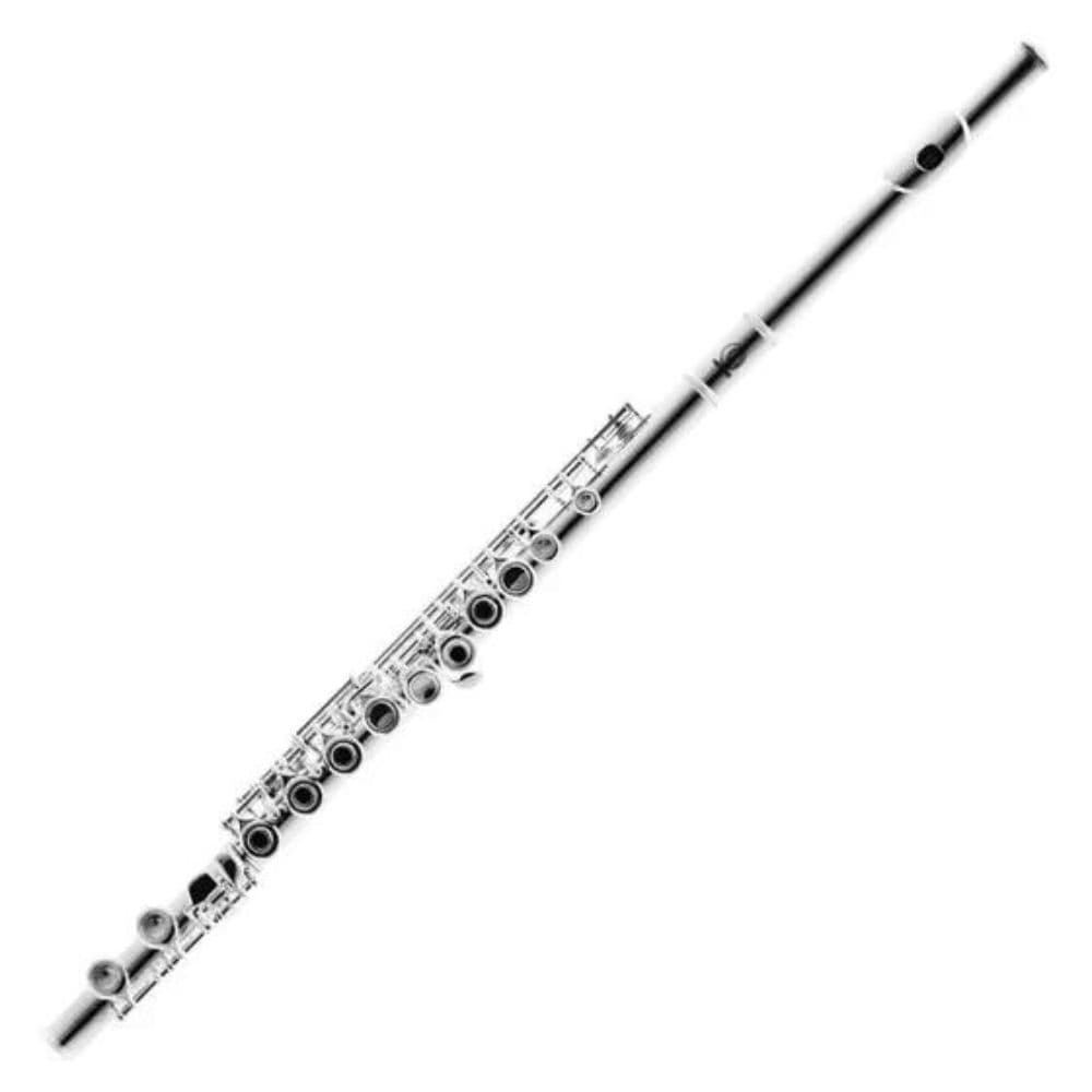 Harmonics HFL-5237S Soprano C Flute for Beginner Student in Luxury Soft Case